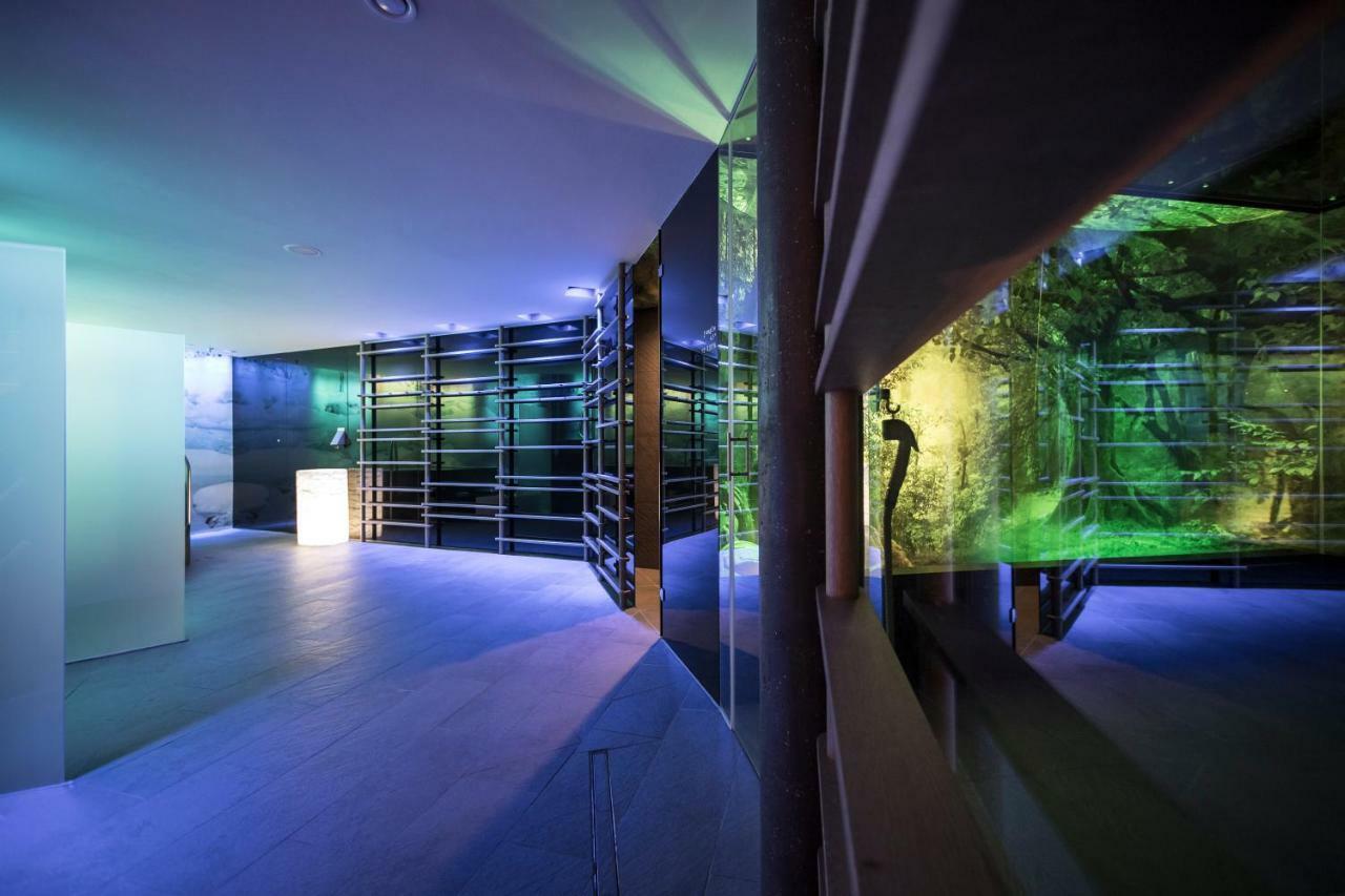 Spa & Relax Hotel Erika Тироло Экстерьер фото